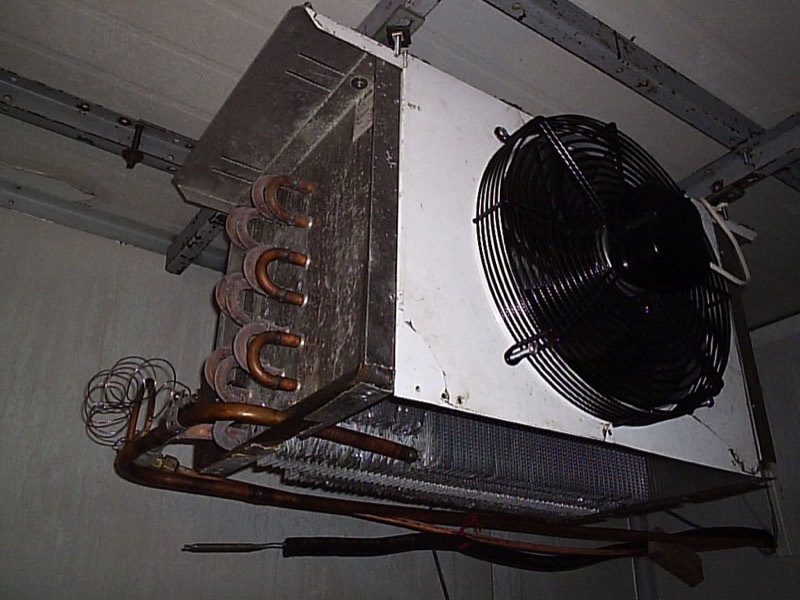 Copper finned-tube evaporator coil installed in a cold storage room